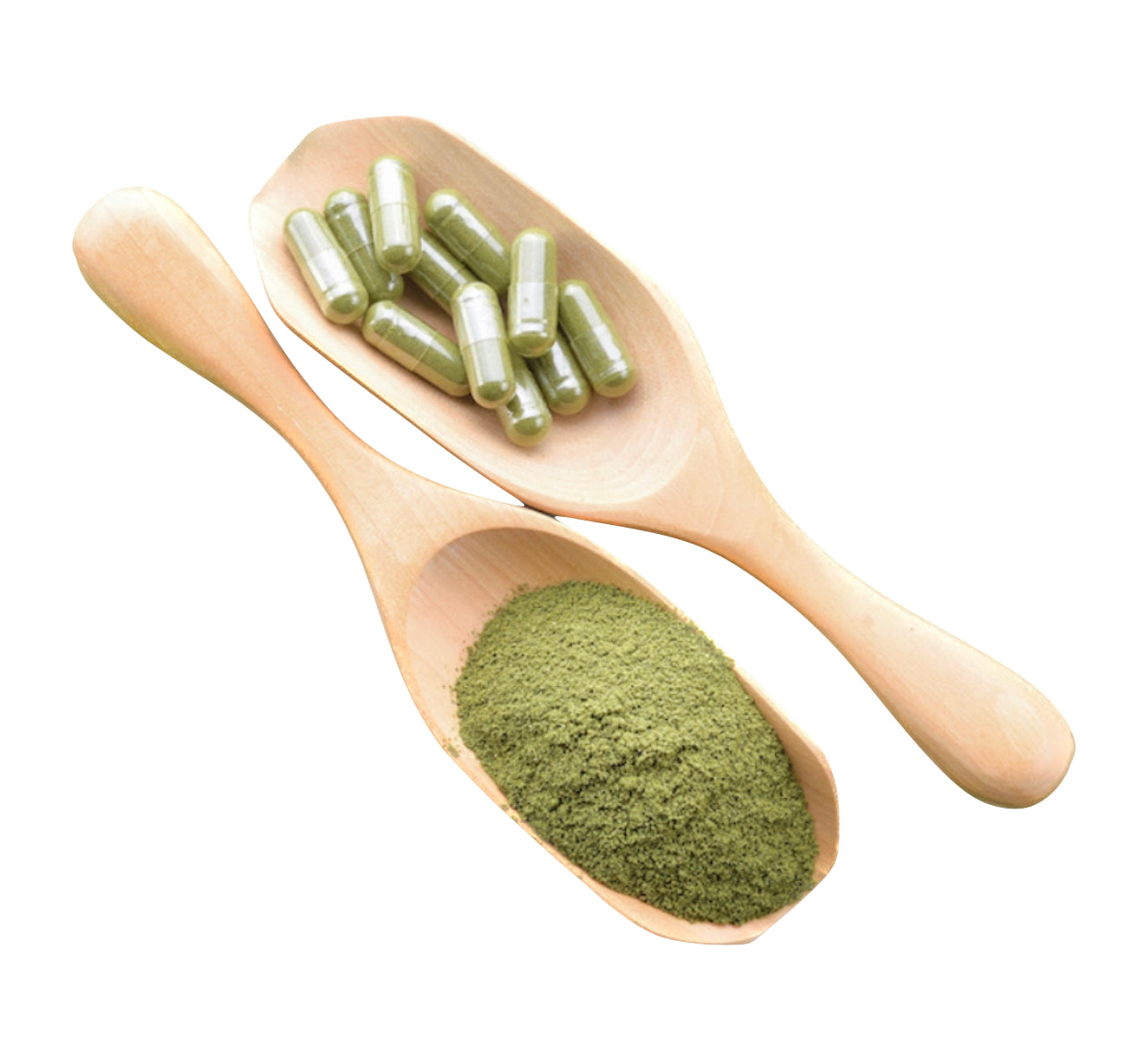 Moringa ( Everything )